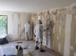 Why You Should Choose Our Mold Remediation Services in Pflugerville, TX